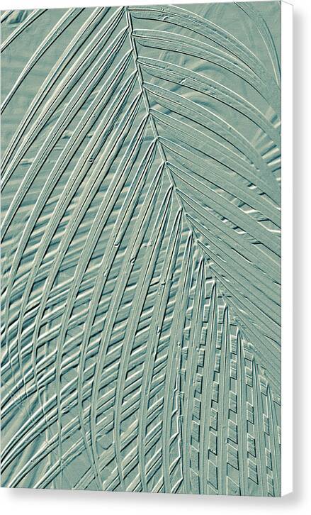 Metallic Palm Design - Canvas Print Canvas Print 1ArtCollection