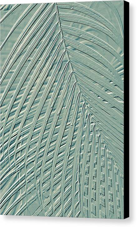 Metallic Palm Design - Canvas Print Canvas Print 1ArtCollection