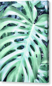 Monstera Design - Canvas Print