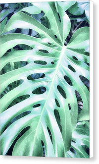 Monstera Design - Canvas Print