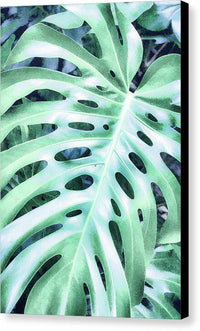 Monstera Design - Canvas Print