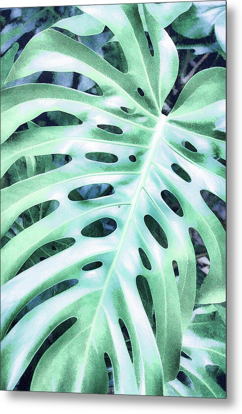 Monstera Design - Metal Print