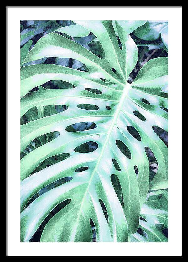 Monstera Design - Framed Print