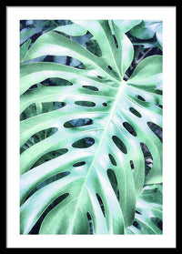 Monstera Design - Framed Print