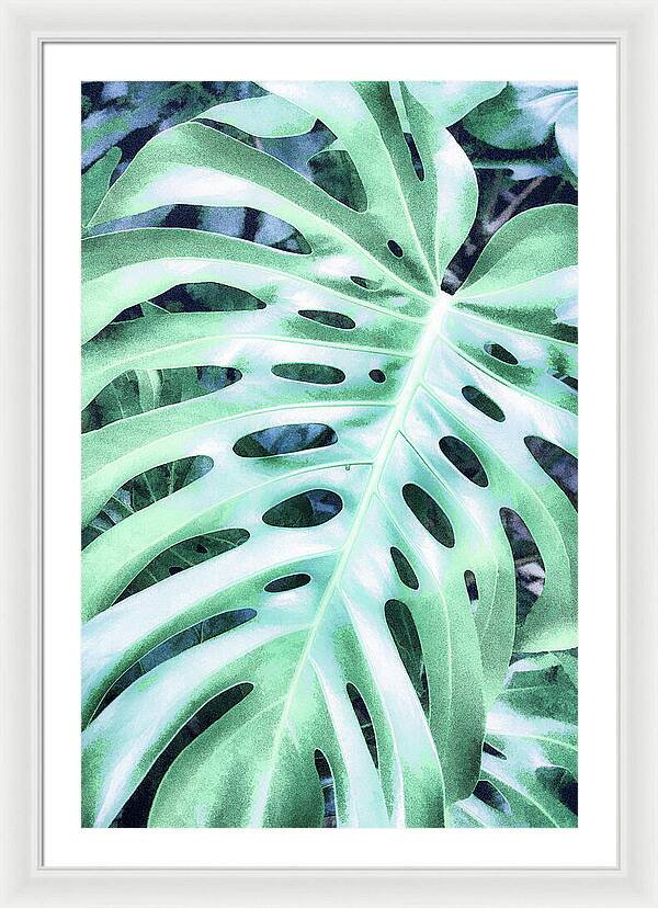 Monstera Design - Framed Print