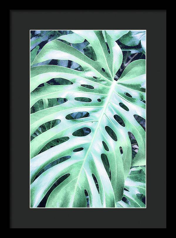 Monstera Design - Framed Print