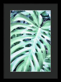 Monstera Design - Framed Print