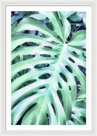 Monstera Design - Framed Print