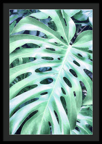 Monstera Design - Framed Print