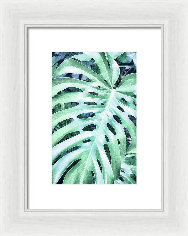 Monstera Design - Framed Print