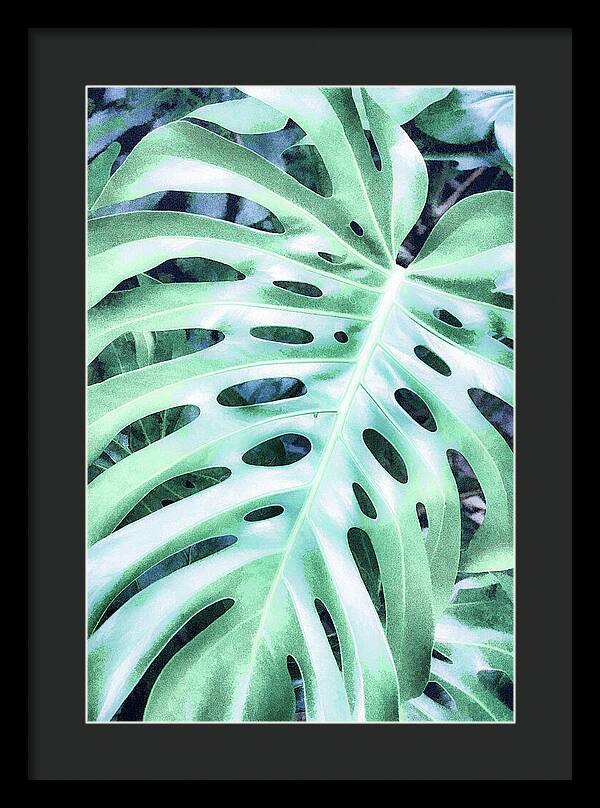 Monstera Design - Framed Print