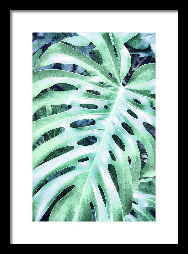 Monstera Design - Framed Print