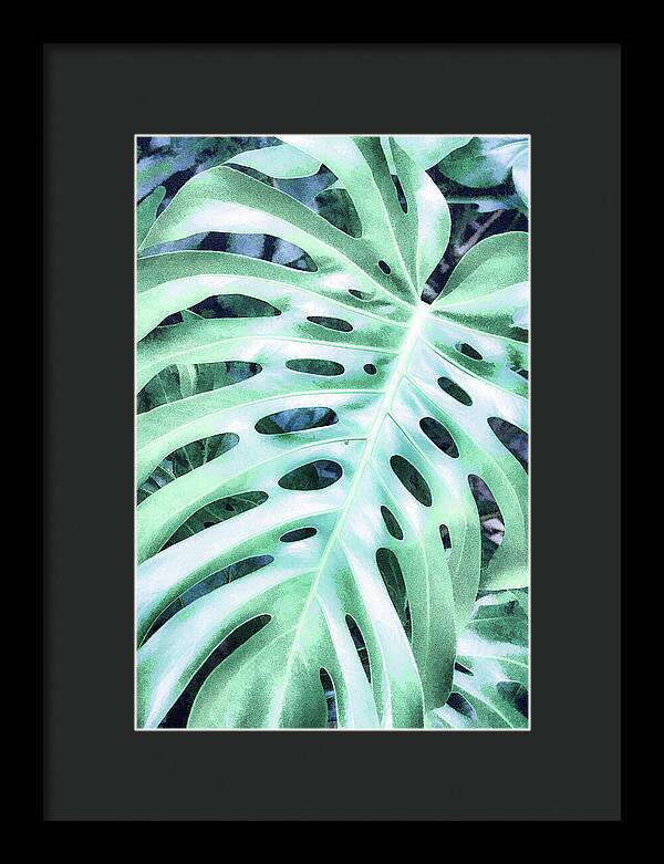 Monstera Design - Framed Print