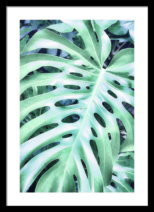 Monstera Design - Framed Print