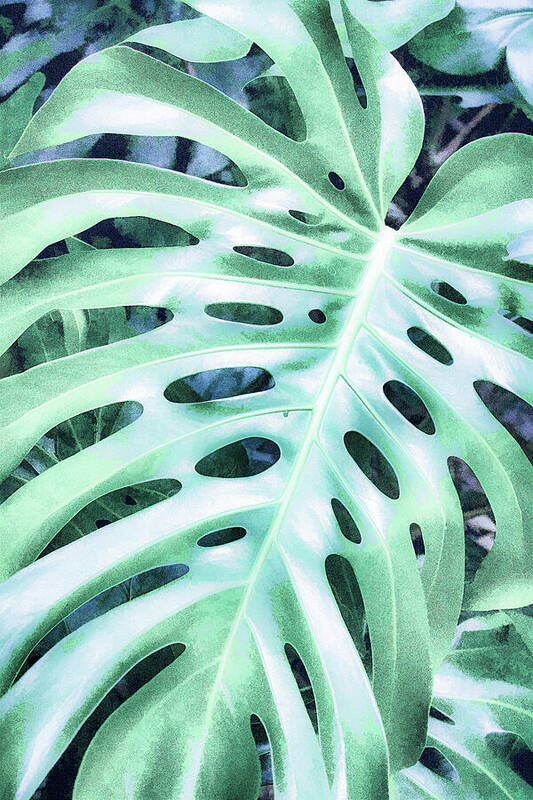 Monstera Design - Art Print