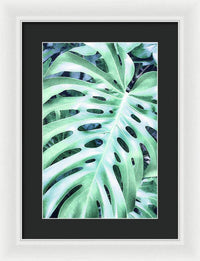 Monstera Design - Framed Print