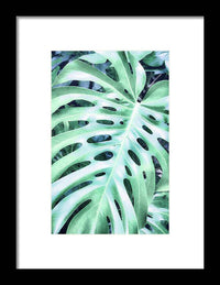 Monstera Design - Framed Print