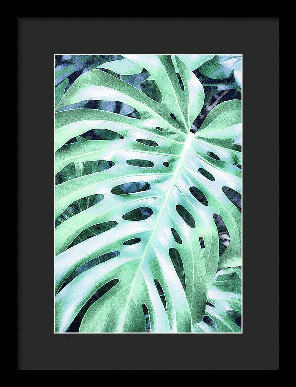 Monstera Design - Framed Print