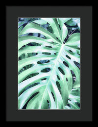 Monstera Design - Framed Print