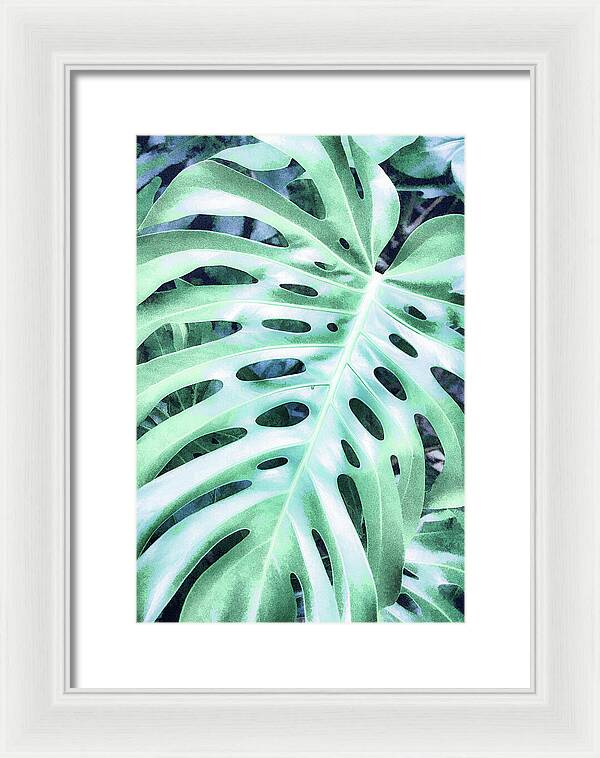 Monstera Design - Framed Print