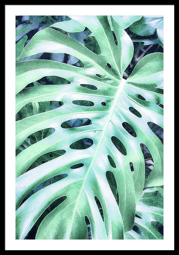 Monstera Design - Framed Print