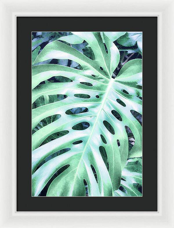 Monstera Design - Framed Print