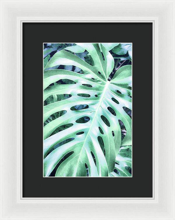 Monstera Design - Framed Print