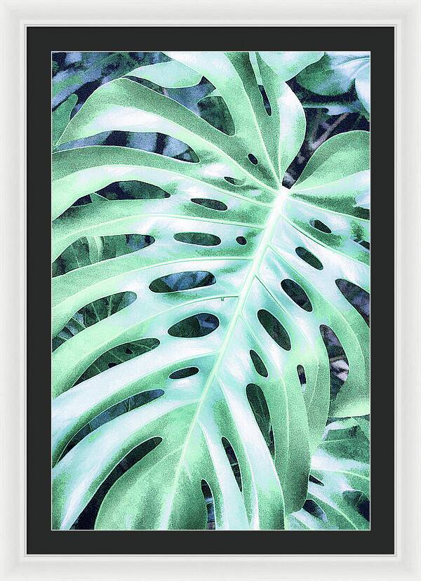 Monstera Design - Framed Print