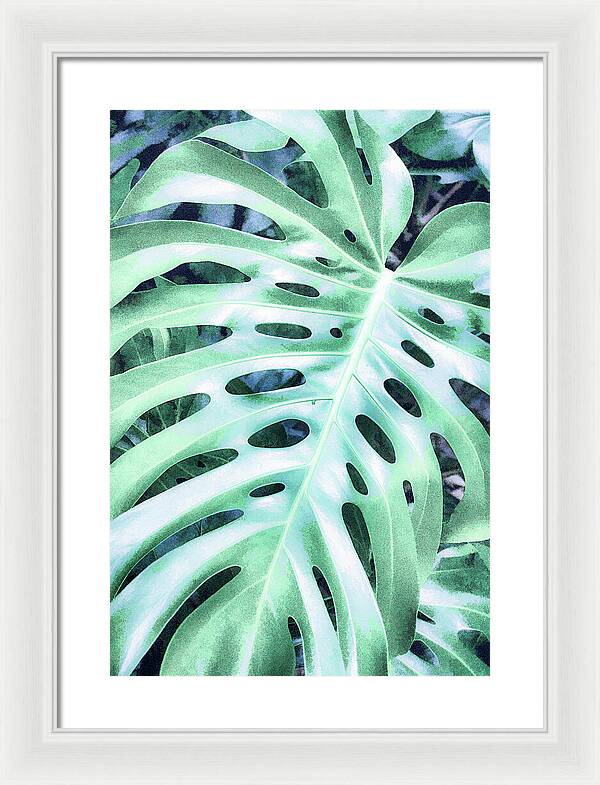 Monstera Design - Framed Print