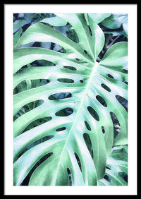 Monstera Design - Framed Print