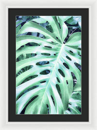 Monstera Design - Framed Print