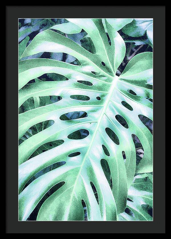 Monstera Design - Framed Print