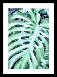 Monstera Design - Framed Print