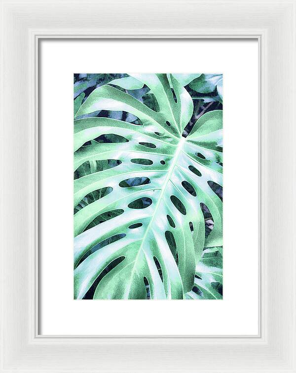 Monstera Design - Framed Print