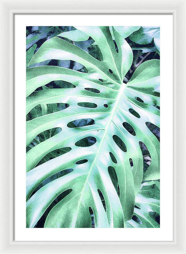 Monstera Design - Framed Print