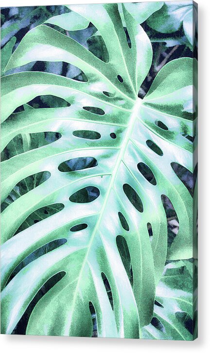 Monstera Design - Acrylic Print