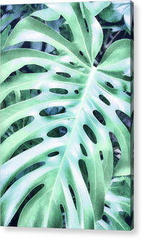 Monstera Design - Acrylic Print