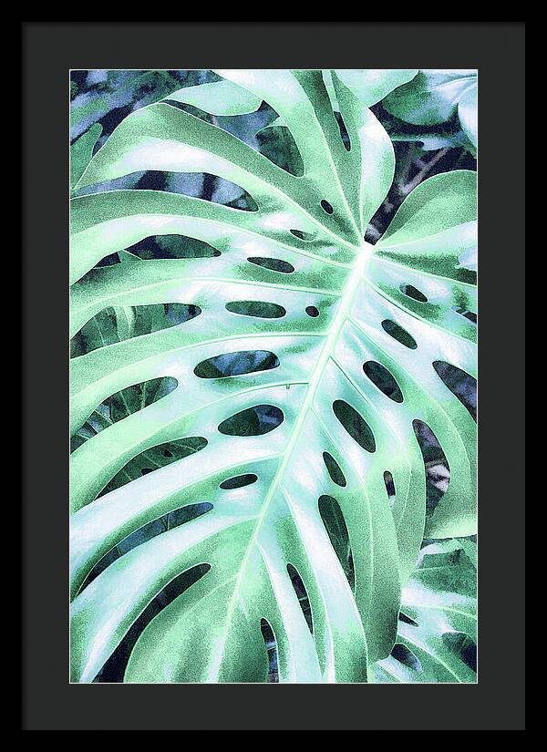 Monstera Design - Framed Print