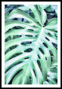 Monstera Design - Framed Print