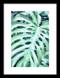 Monstera Design - Framed Print