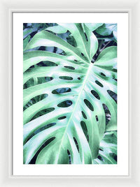 Monstera Design - Framed Print