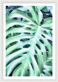 Monstera Design - Framed Print