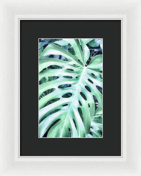 Monstera Design - Framed Print