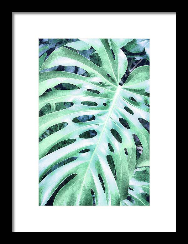 Monstera Design - Framed Print