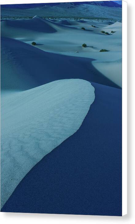 Moonlight over Death Valley Sand Dunes - Canvas Print Canvas Print 1ArtCollection