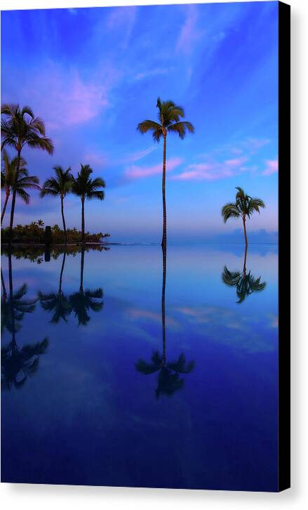 Morning Palms - Canvas Print