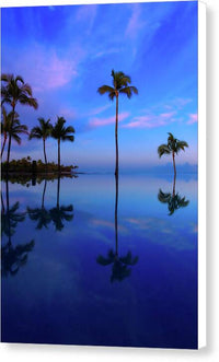 Morning Palms - Canvas Print