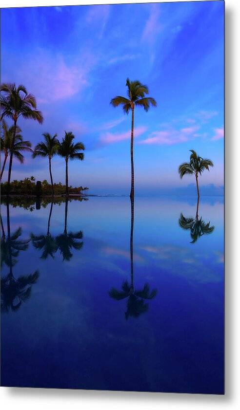 Morning Palms - Metal Print