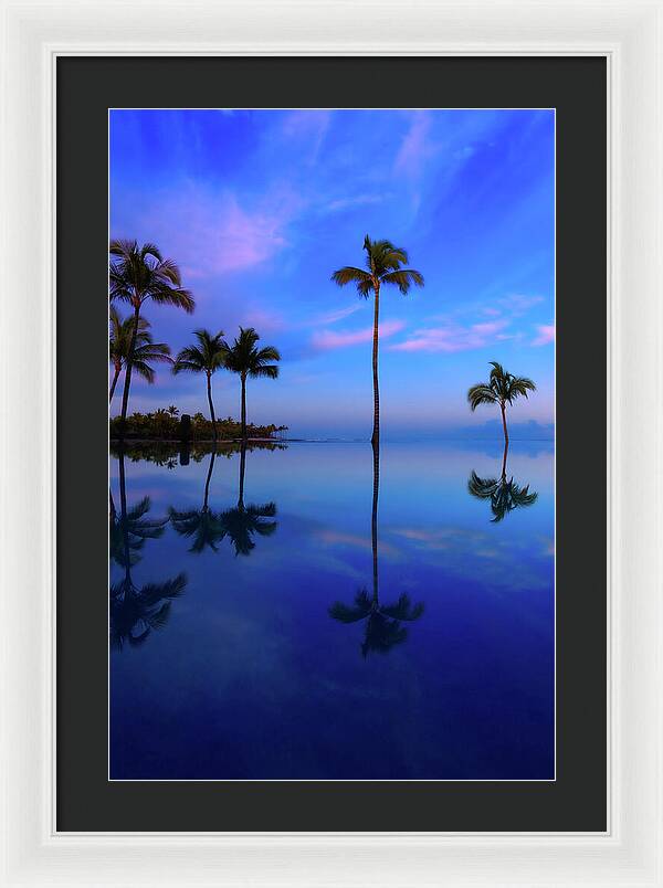 Morning Palms - Framed Print