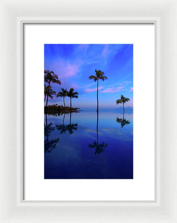 Morning Palms - Framed Print